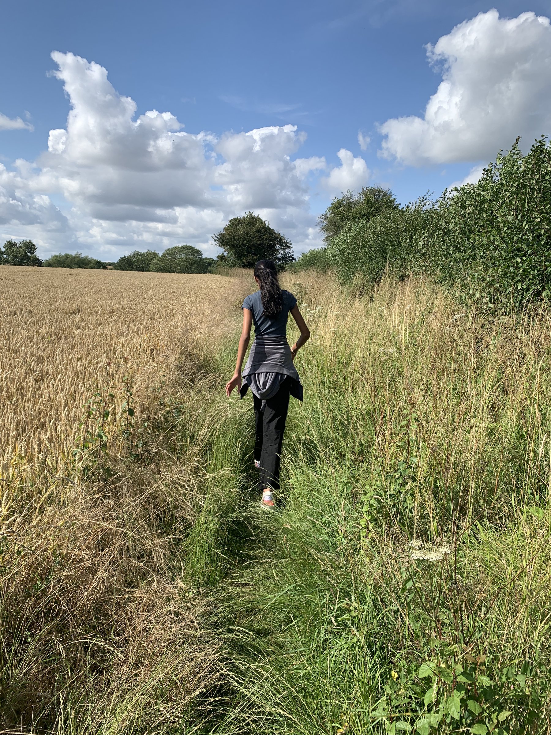 A figure walking ahead down a narrow path cut through tall summer grass, under a bright cloud-dappled sky.