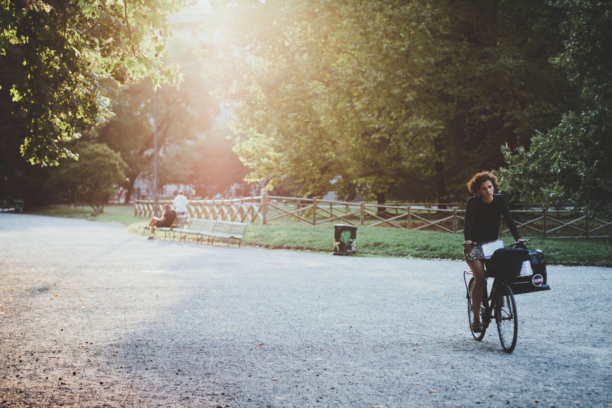 A cyclist passing through a sunlit park at dusk — public space as quiet civic infrastructure.