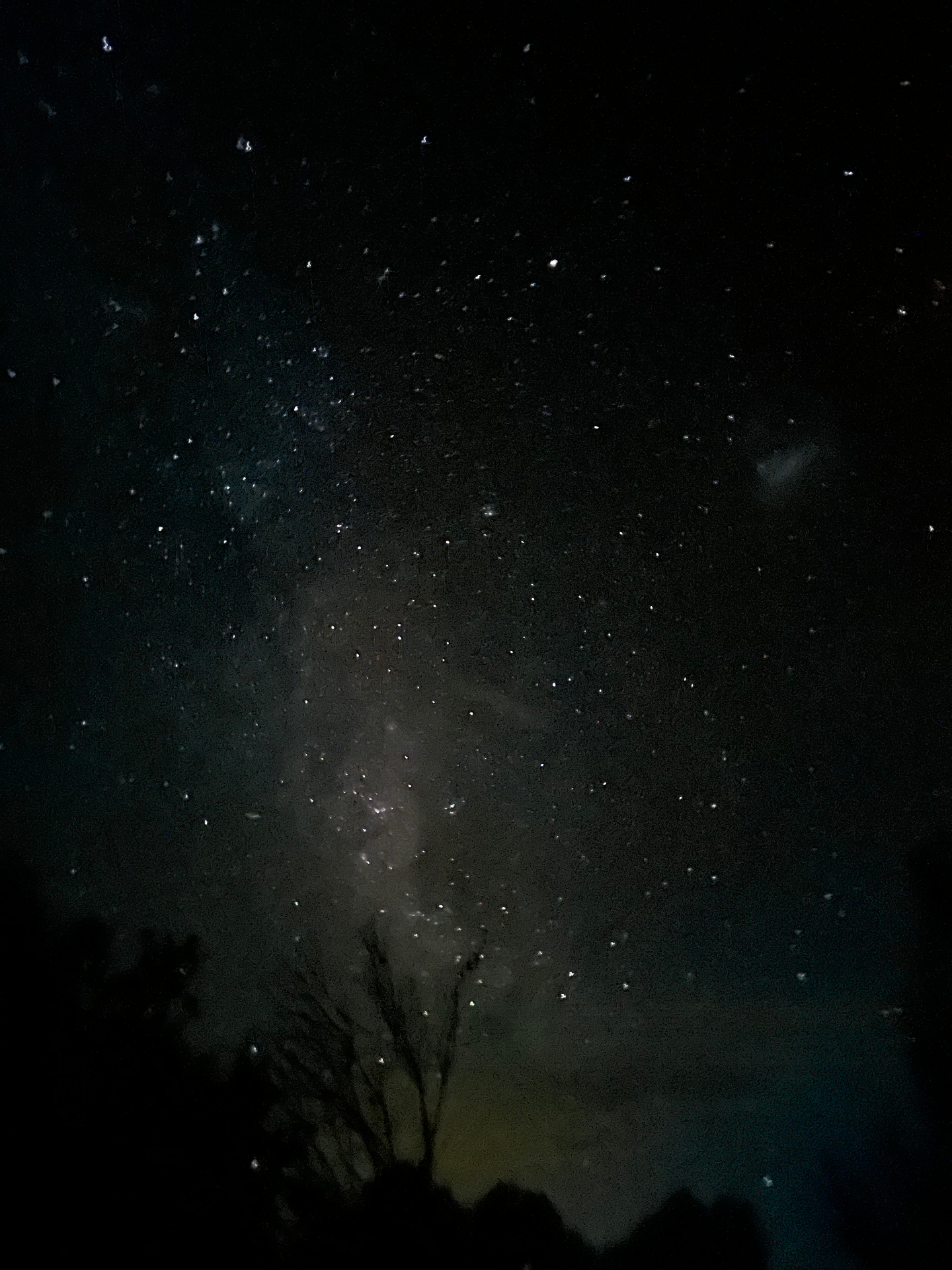 The Milky Way rising vertically through a dark sky, a tree silhouette at the base of the frame.