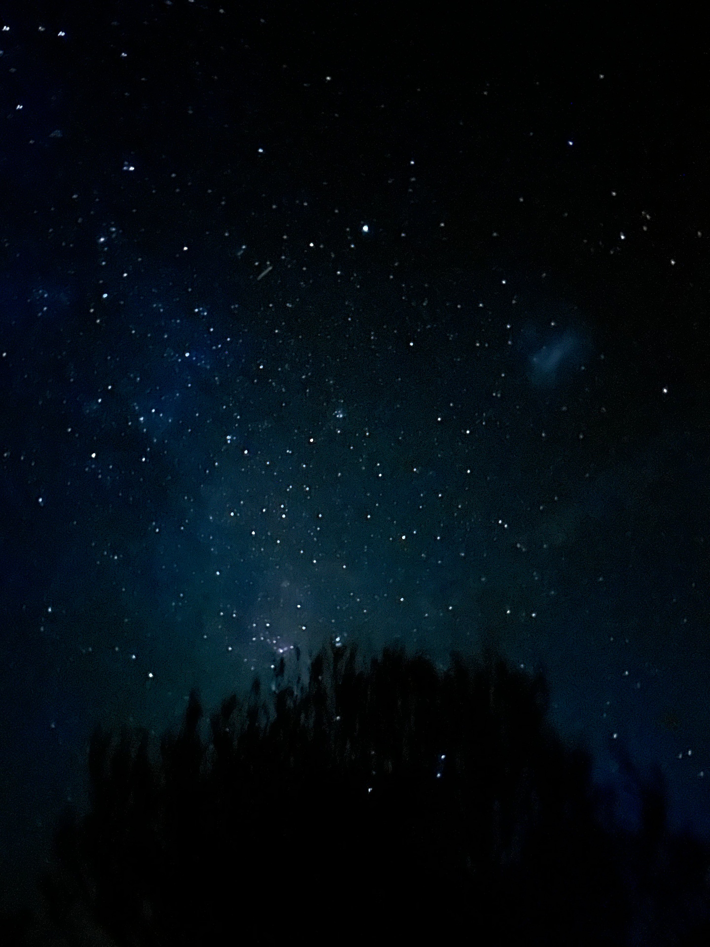 A quieter star-field with subtle blue tones, a tree-line silhouetted along the bottom edge of the frame.