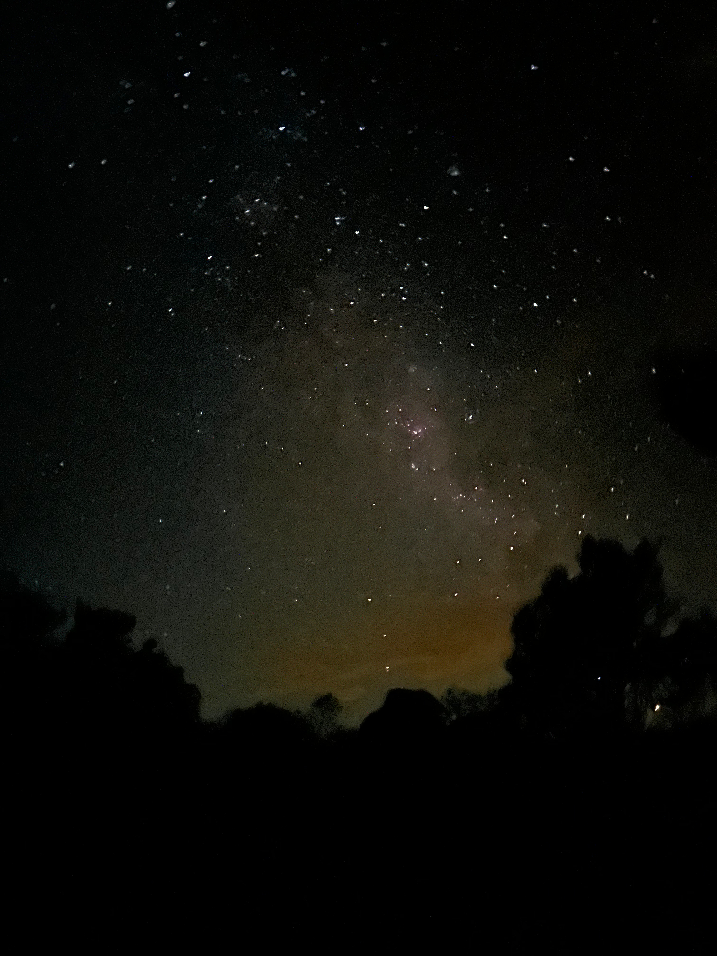 The Milky Way rising behind a treeline, a warm orange glow of distant town-light along the horizon, sky alive with stars.