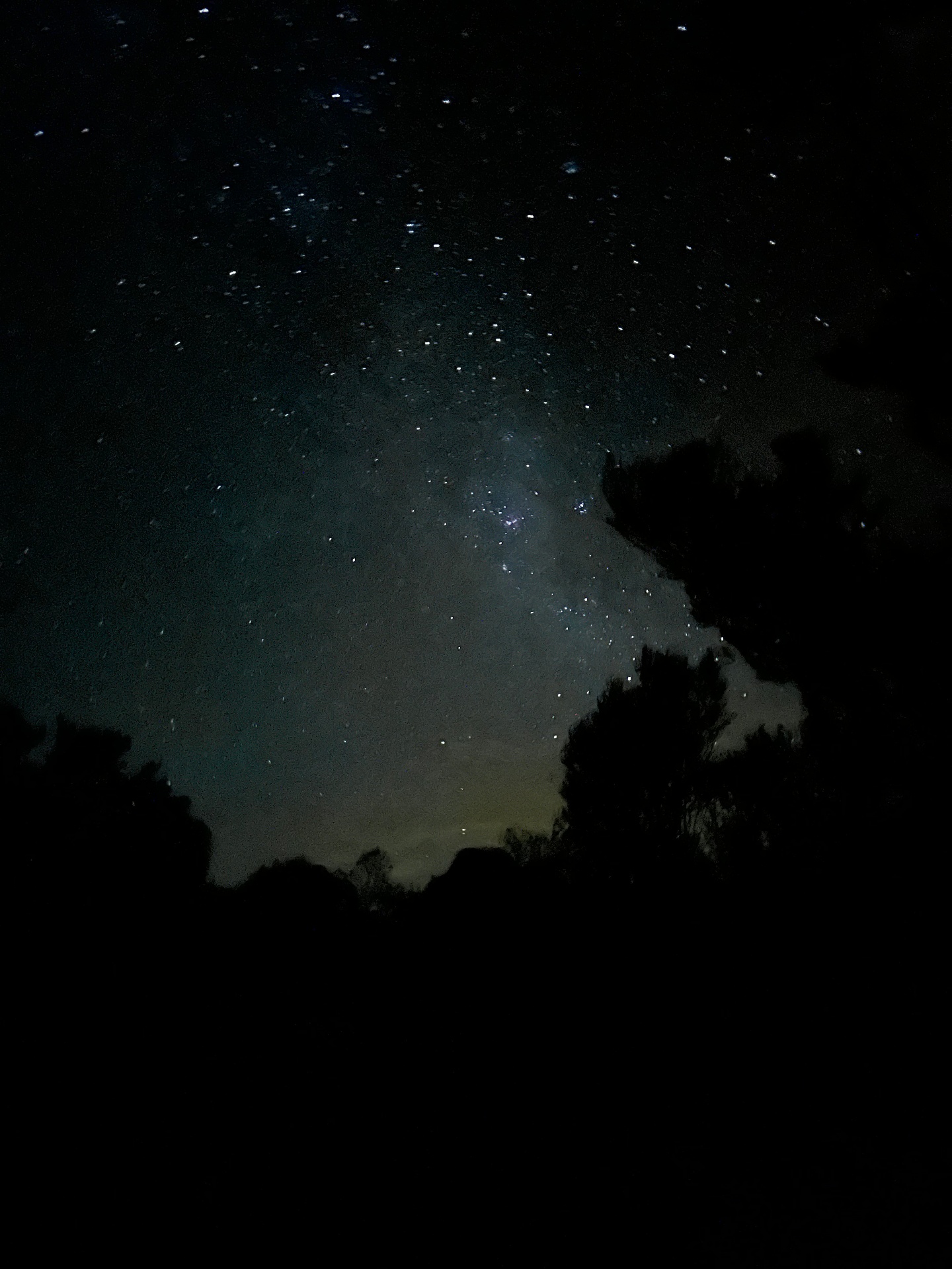 A blue-toned star field above a low treeline, faint horizon glow, calmer than the others.