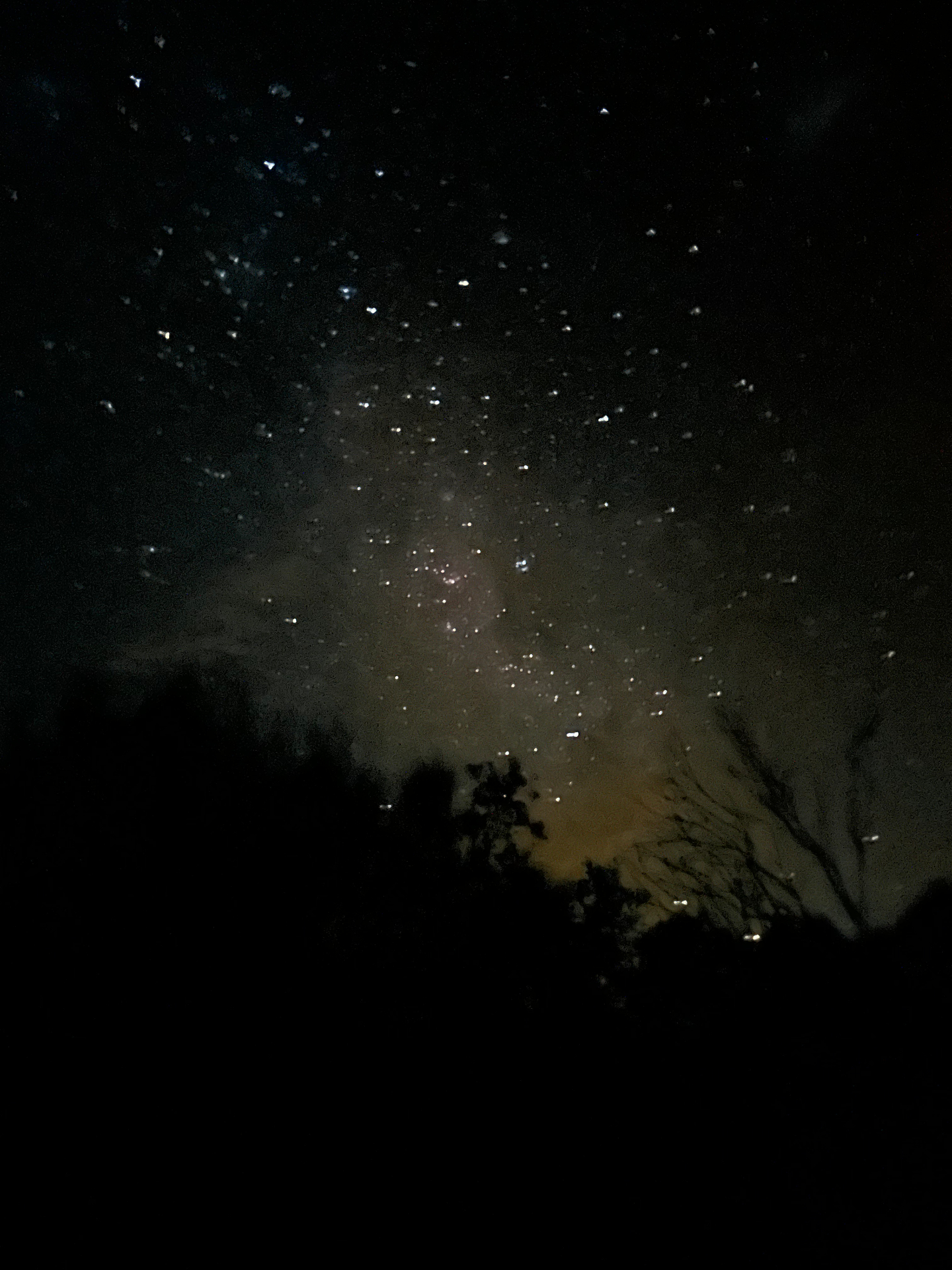 The galactic core glowing centre-frame above a low silhouette of trees, warm horizon light beneath.