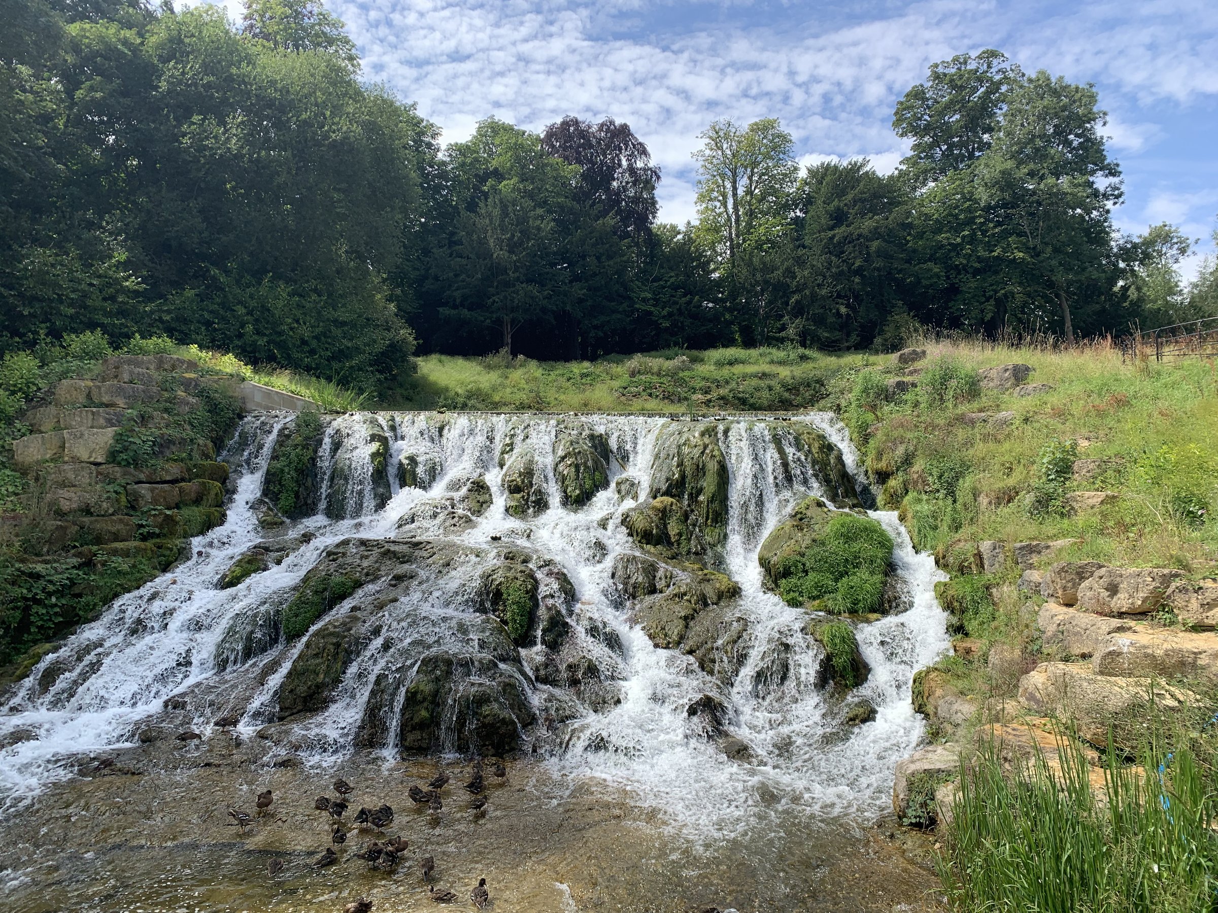 A wide low waterfall tumbling over mossy stone, ducks gathered in the pool below.